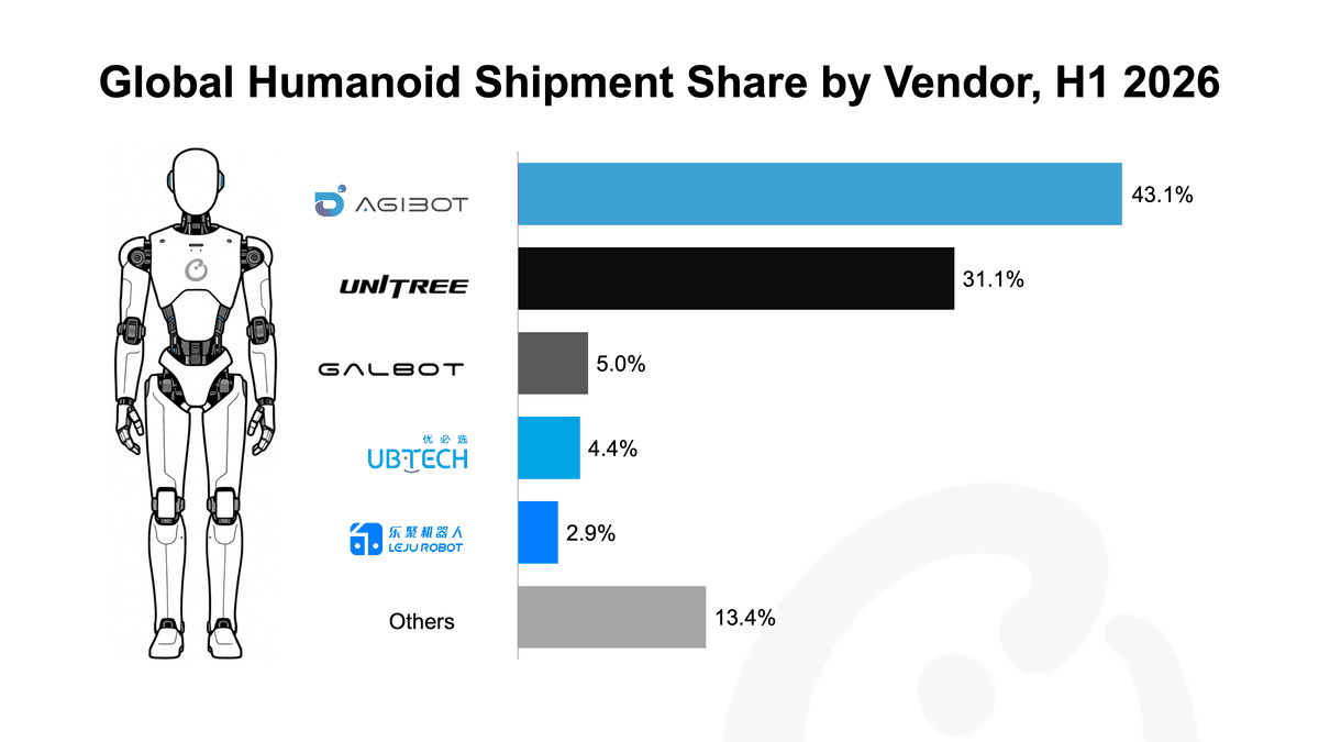 Thumbnail Global Humanoid Shipment Share.png