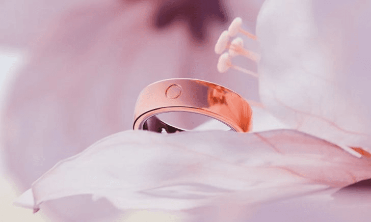 A gold ring on a flower
Description automatically generated