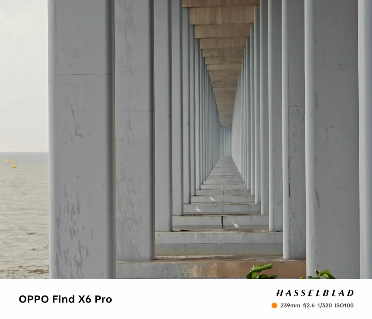 OPPO Find X6 Pro_10x