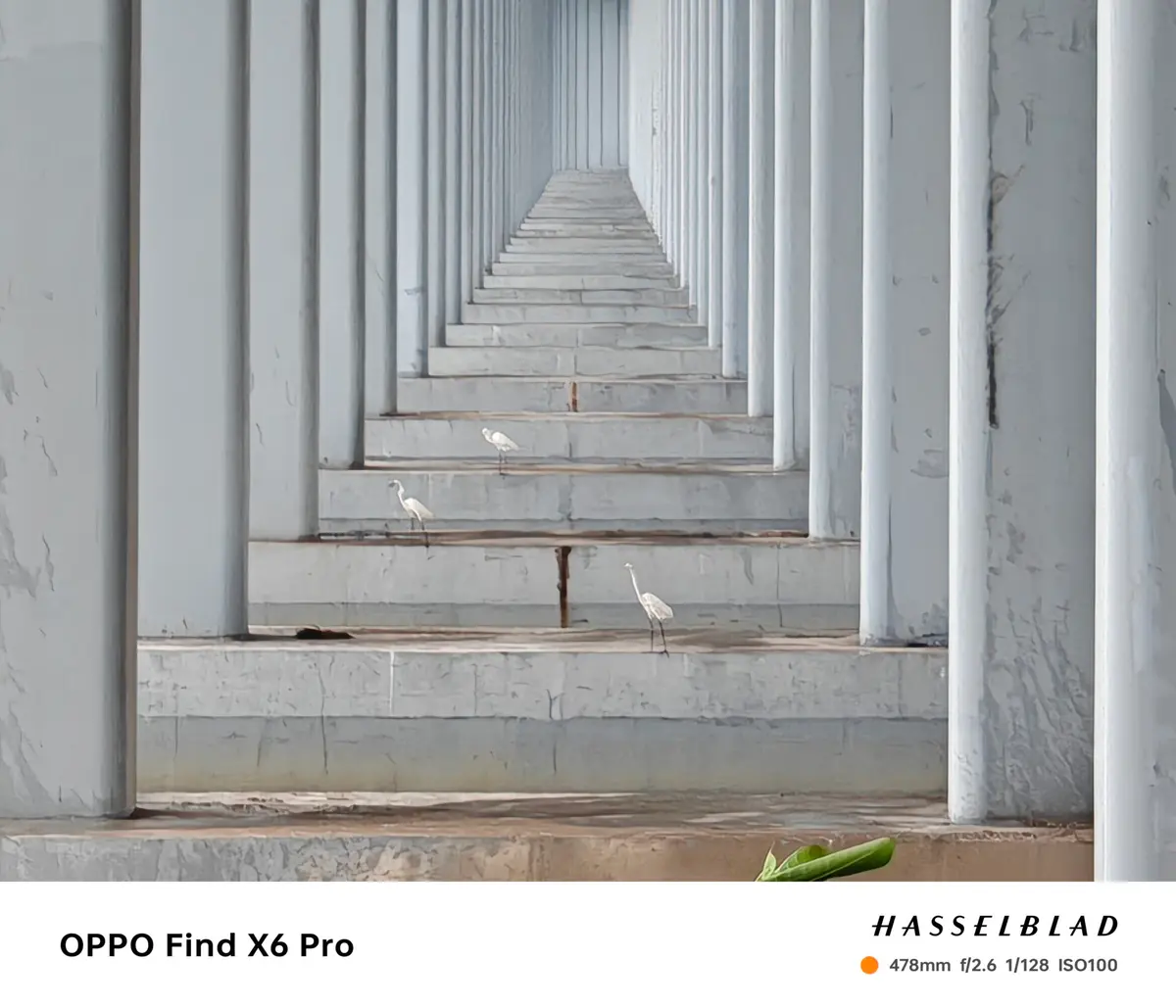 OPPO Find X6 Pro_20x
