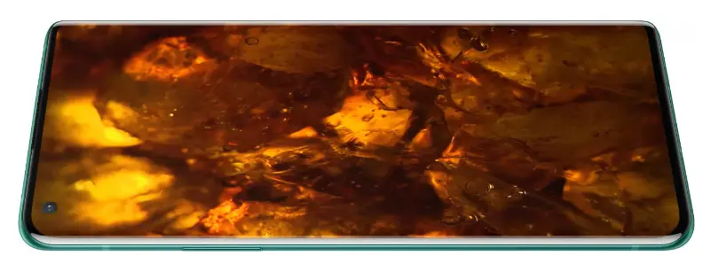 counterpoint oneplus 8 pro display
