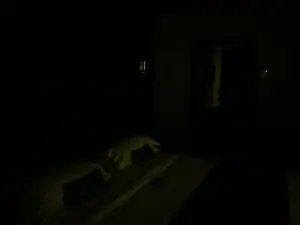 Counterpoint: night image taken with iPhone Xs