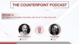 counterpoint podcast peter and falguni