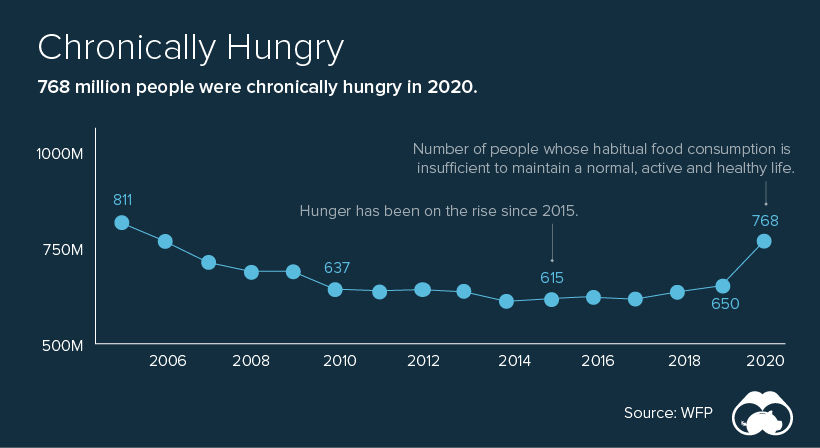 Chronical Hunger