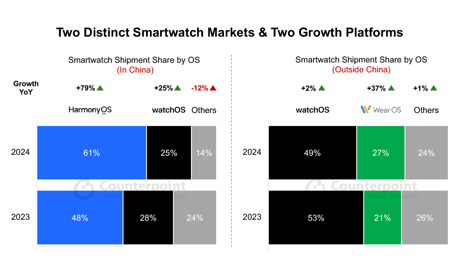 Two Distinct smartwatch markets & two growth platforms
